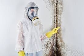 Keego Harbor, MI Mold Removal Services Company